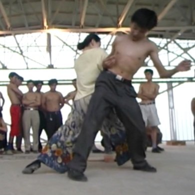 Dance with Farm Workers (2001)