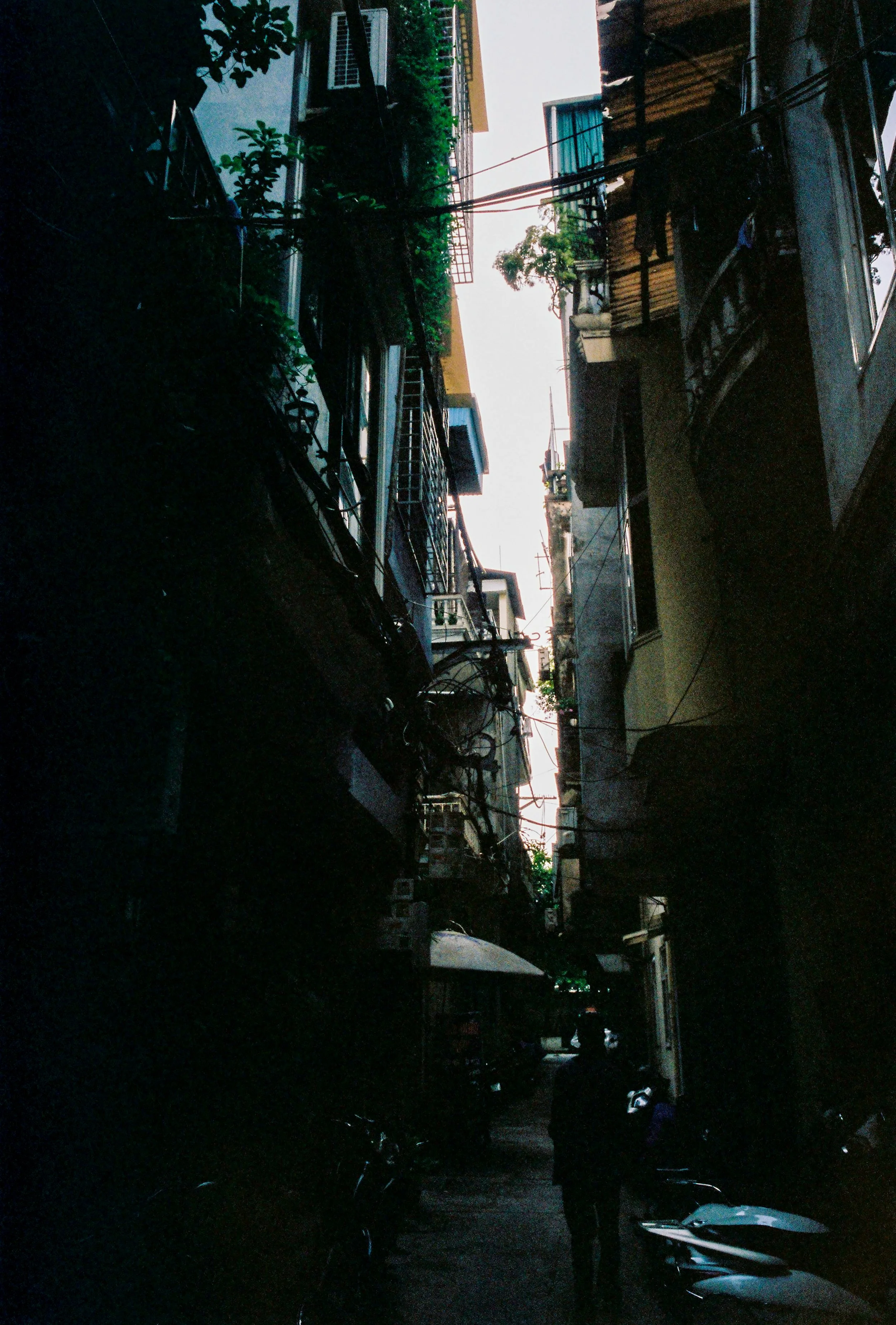 000043-2.jpg