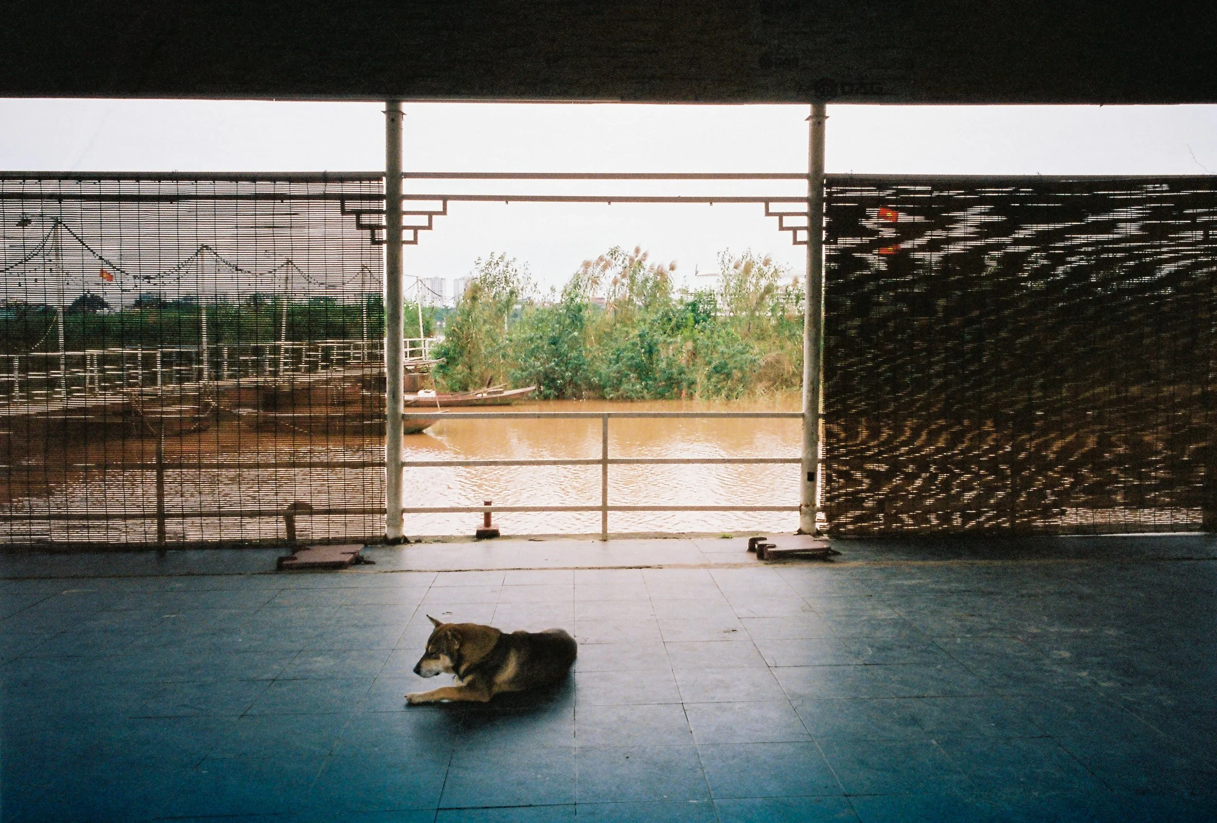 000046-2.jpg