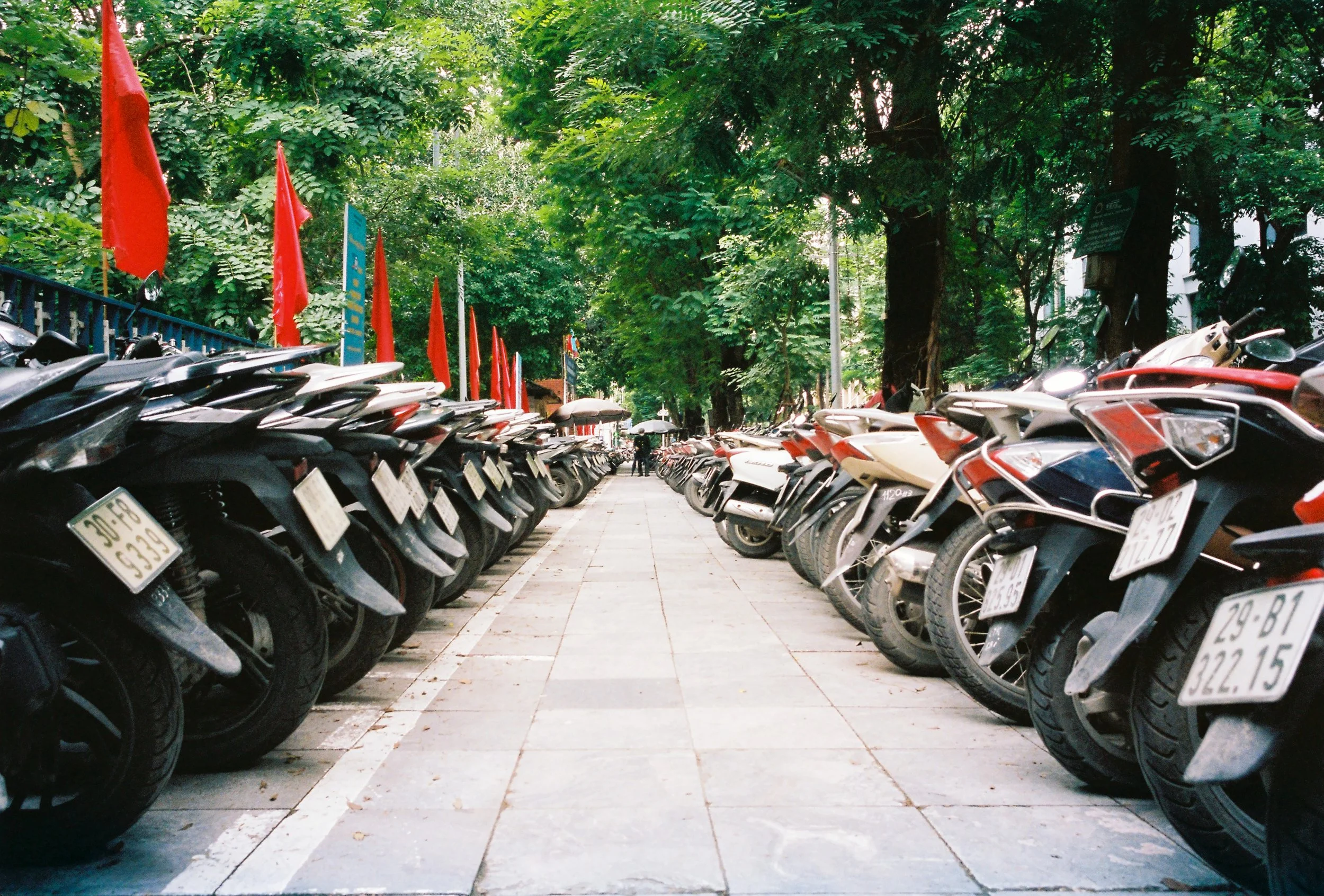 000055-2.jpg