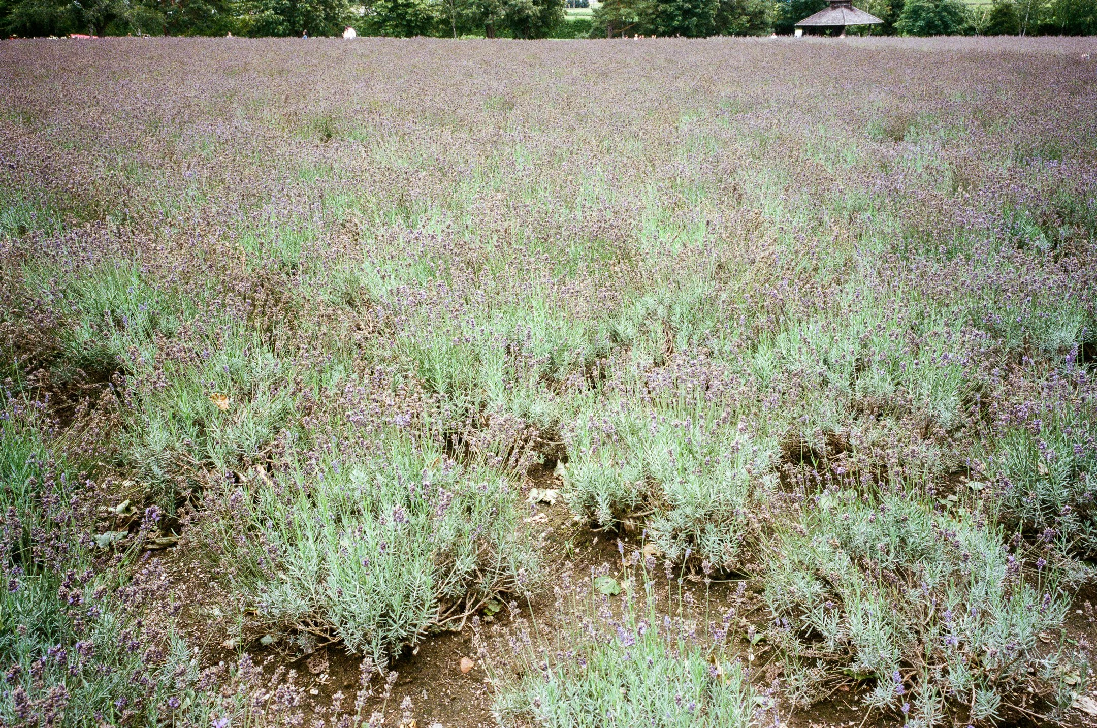 000222720006.jpg