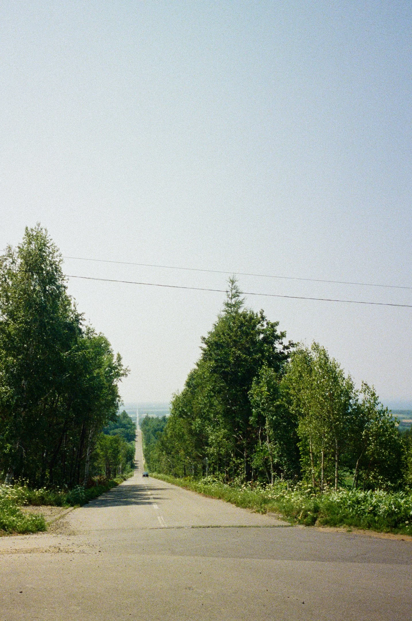 000222710011.jpg