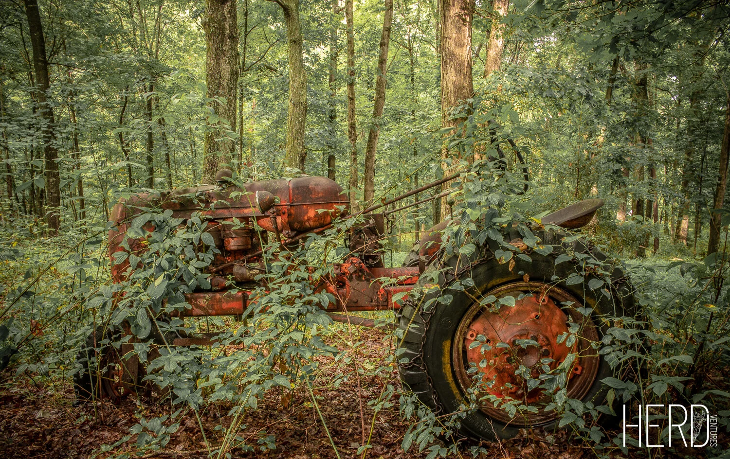 HERD Agricukture Around America-15.jpg