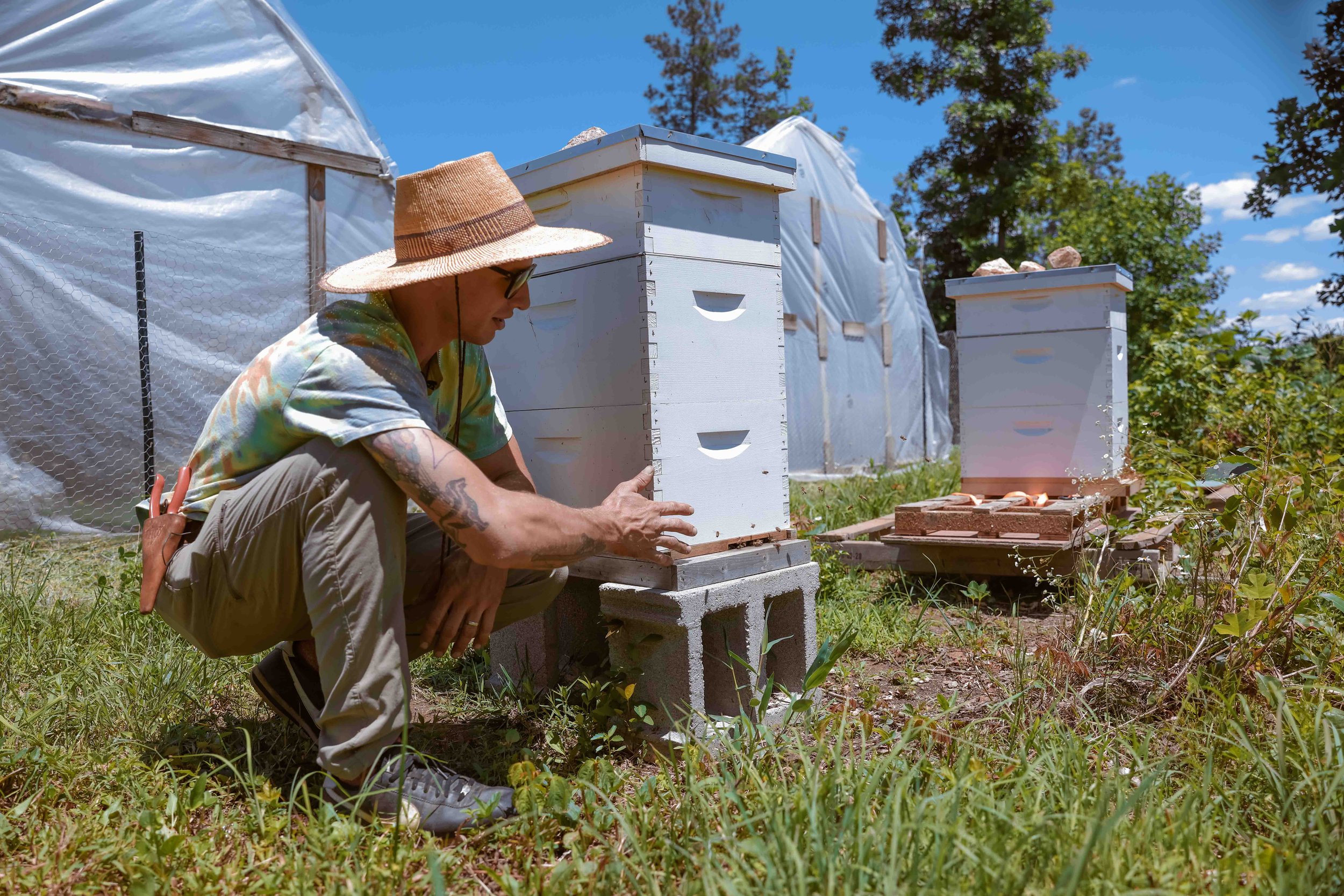 Bee Conscious Bakery and Farm