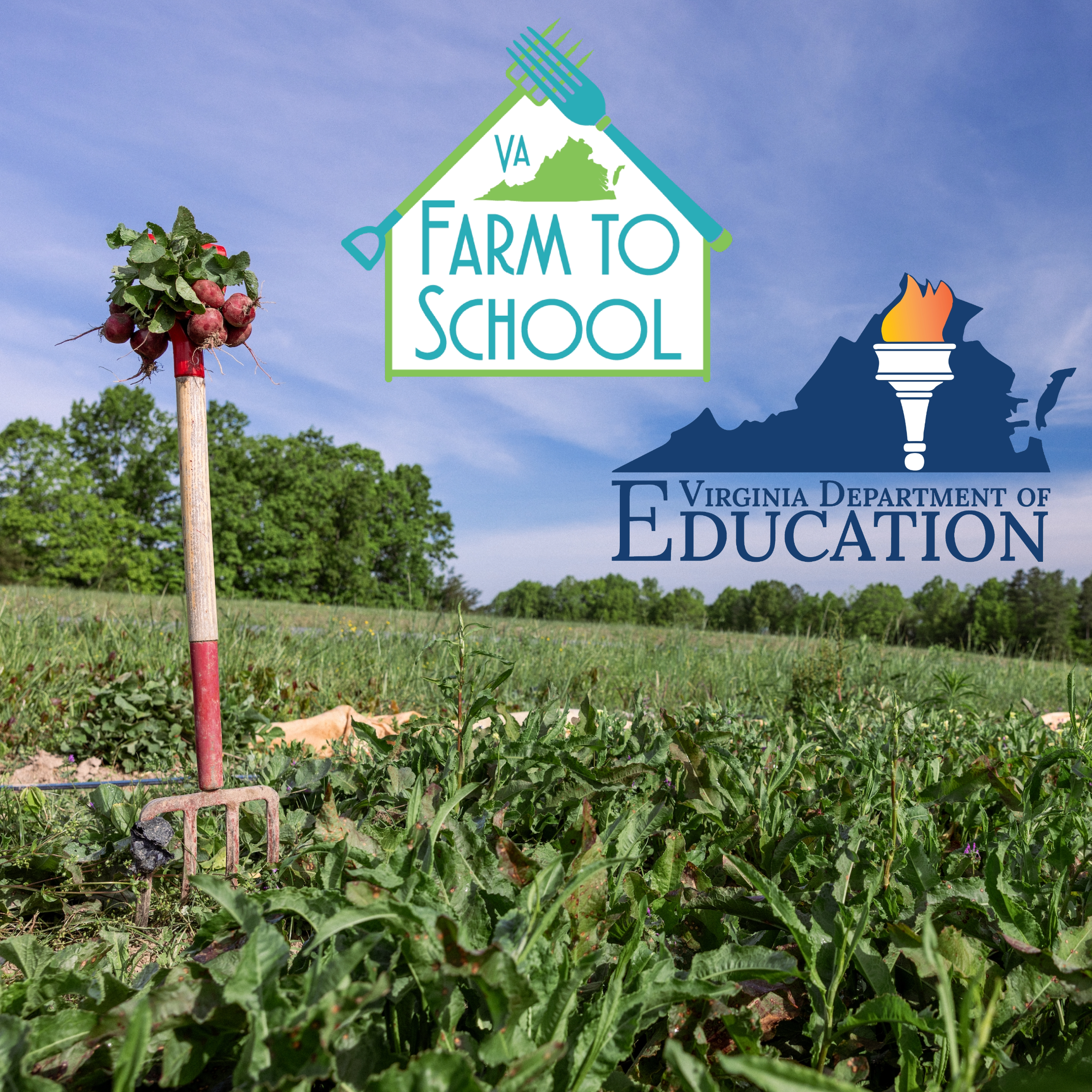 VDOE Farm to School