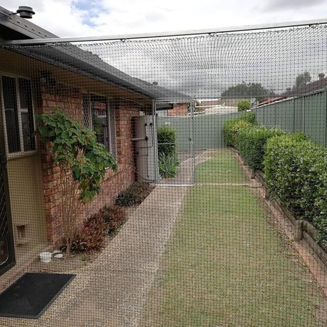 Another quality built side of house enclosure finished last week - yes we are still working 🙌 New house for this family and new enclosure for this guy - he looks pretty comfortable exploring his new space for the first time 👍