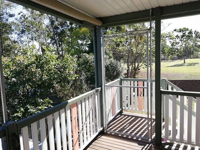 Another great balcony enclosure for this Superstar Foster Carer! We have so much respect for the wonderful volunteer foster carers from the @rspcaqld and especially when they ensure their foster kitties are safe and secure. Chris we think you are won