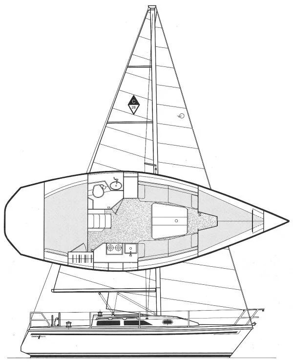 catalina_28_drawing.jpg
