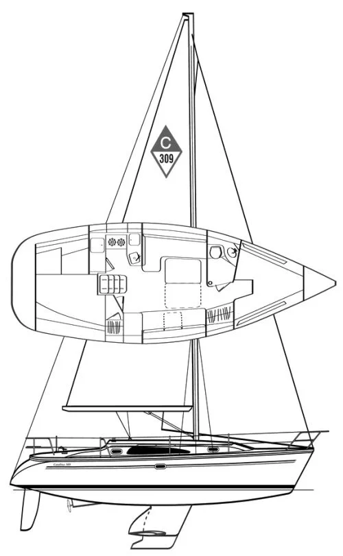 catalina_309_drawing.jpg