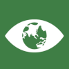 Climate Action SDG eye with globe icon