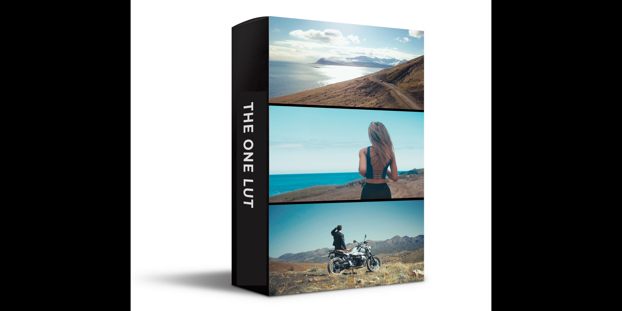 The One LUT_4.2.1.jpg