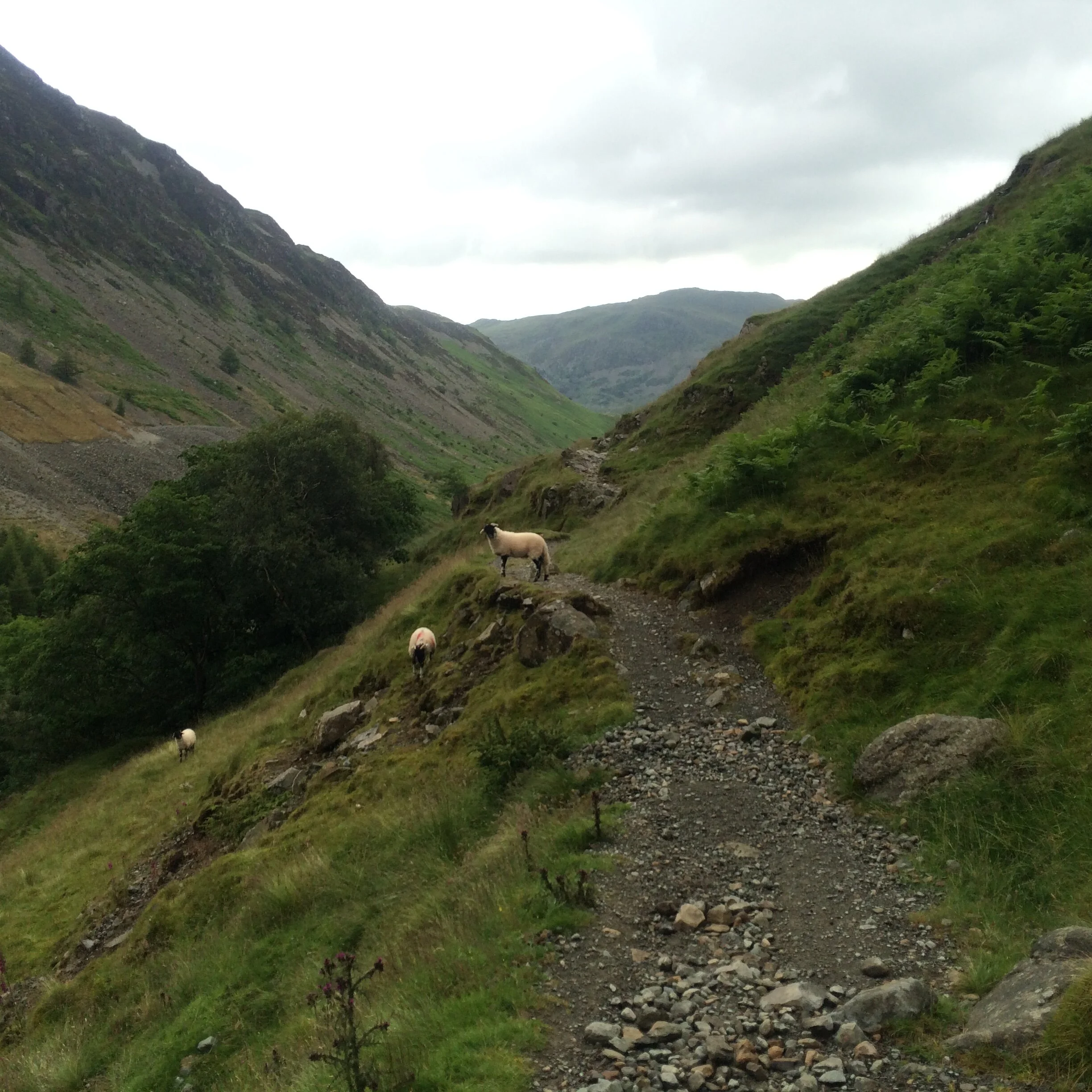 Walking Lake District 2.JPG