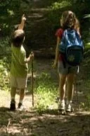 Teacher's Workshop: Young Forest Flaneurs