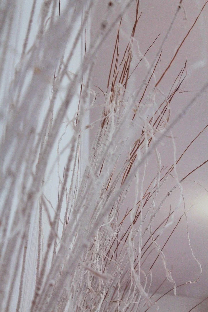 Hall M The Ties That Bind 2021.jpeg