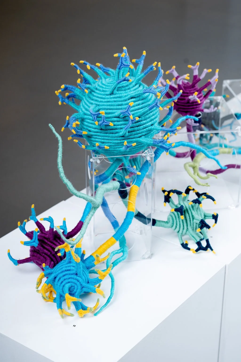 MacRitchieH_Neurons_2024.jpg