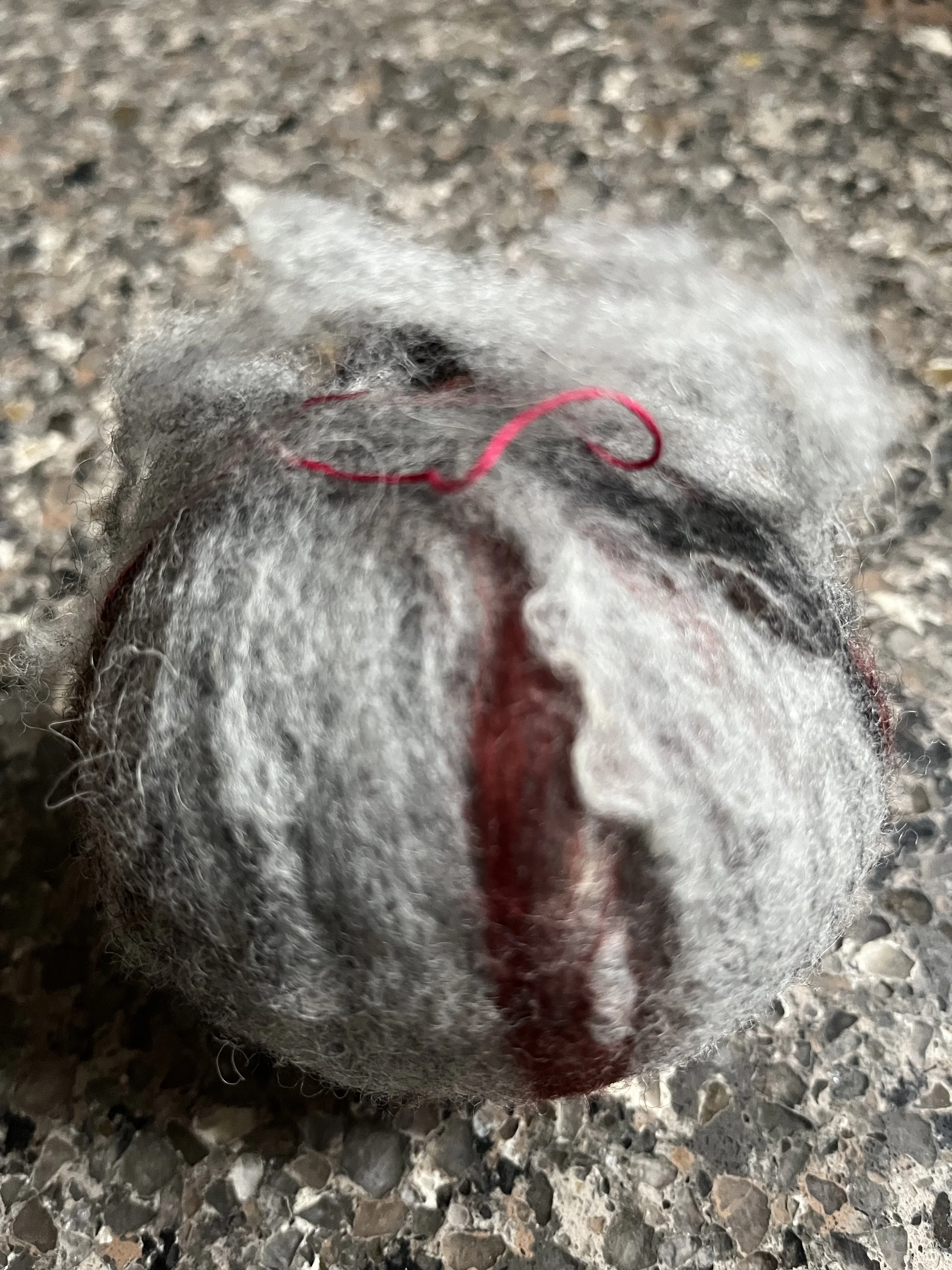 Phelps B the night is long that never finds day D 2023.jpeg