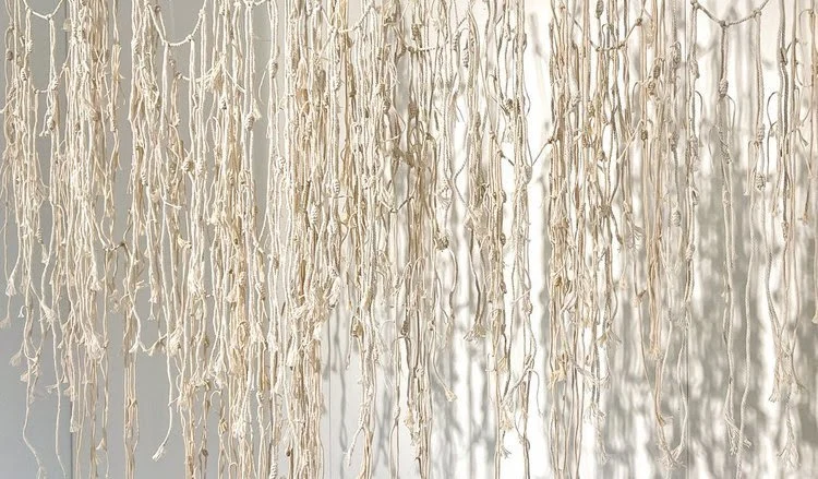 January 2026 Newsletter