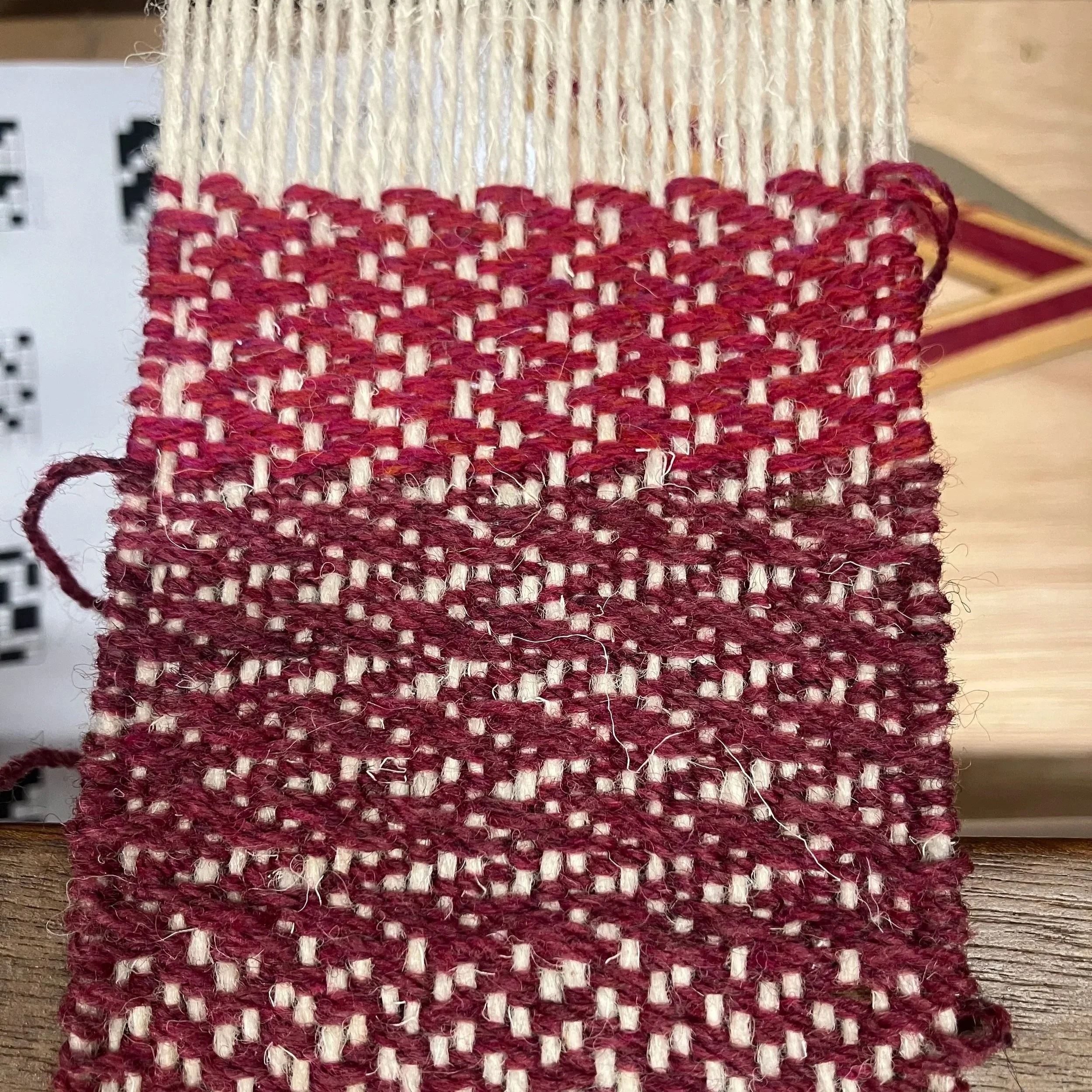 What’s On February 2026: Members’ News 