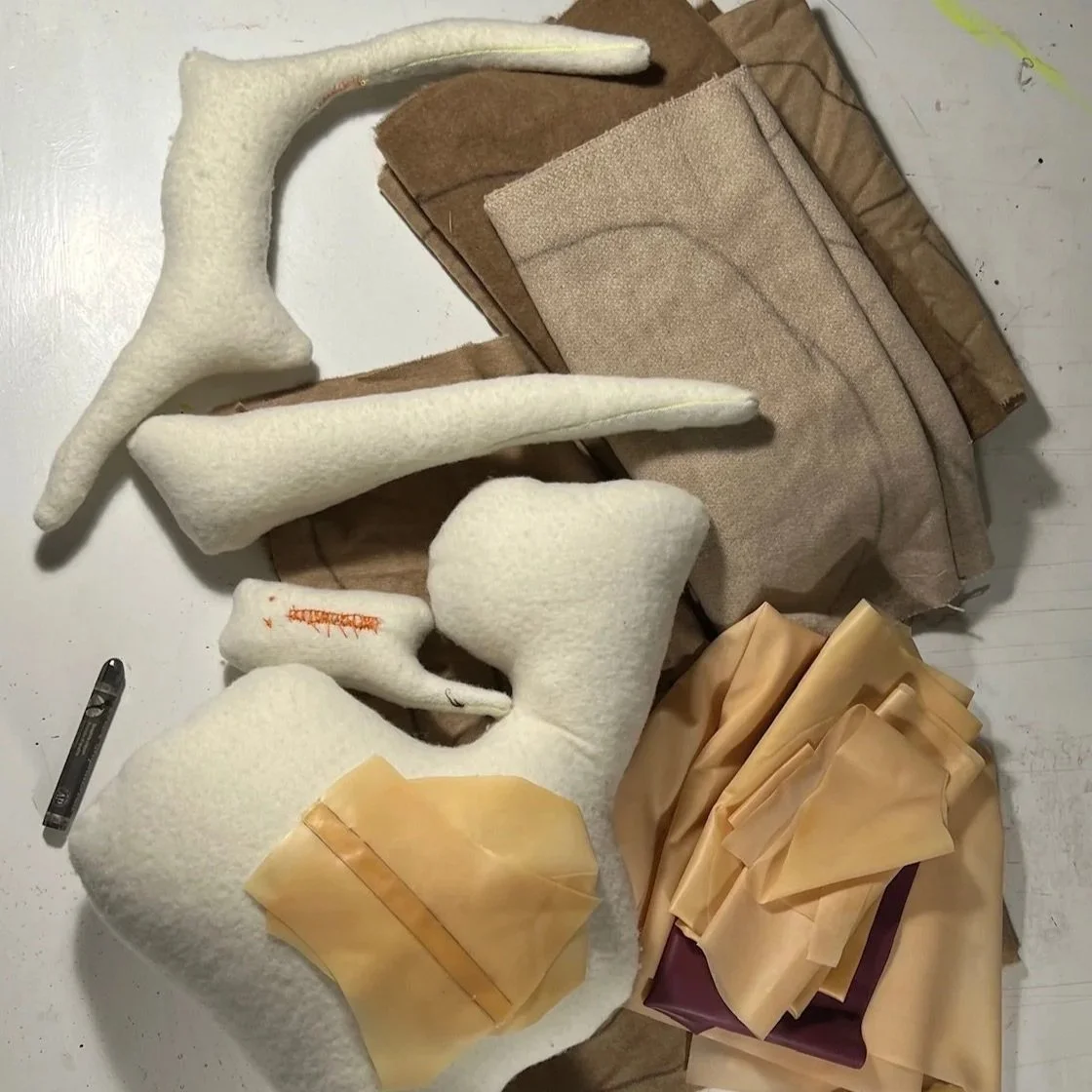 Life as a Prism Mentee - Meg Tonkin