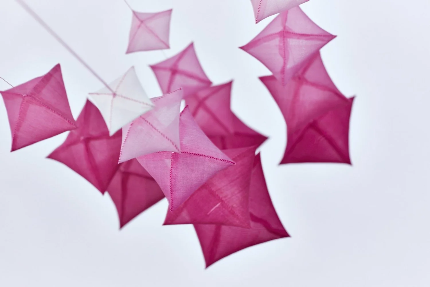 What’s On May 2026: Members’ News 