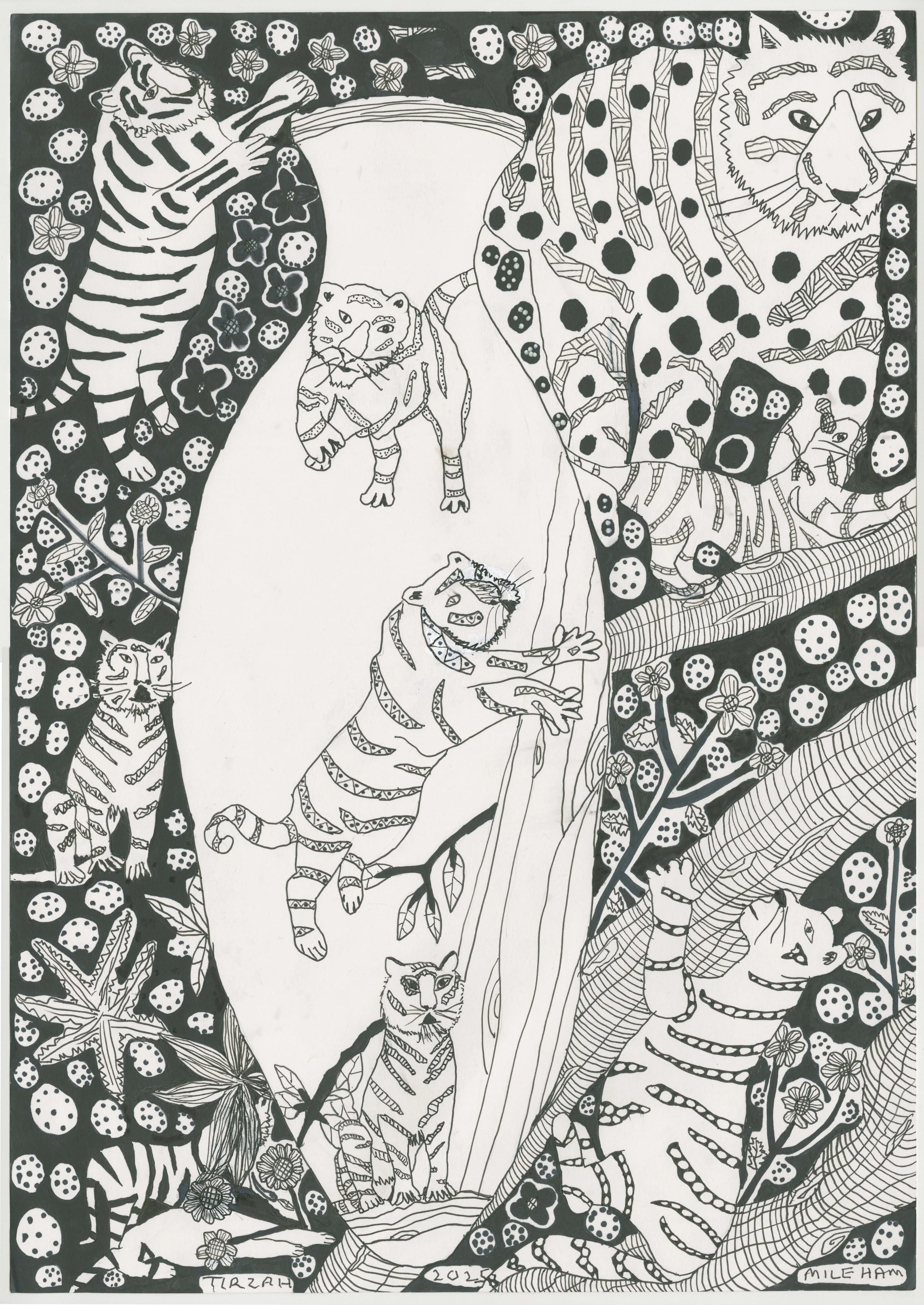 image 3.jpg