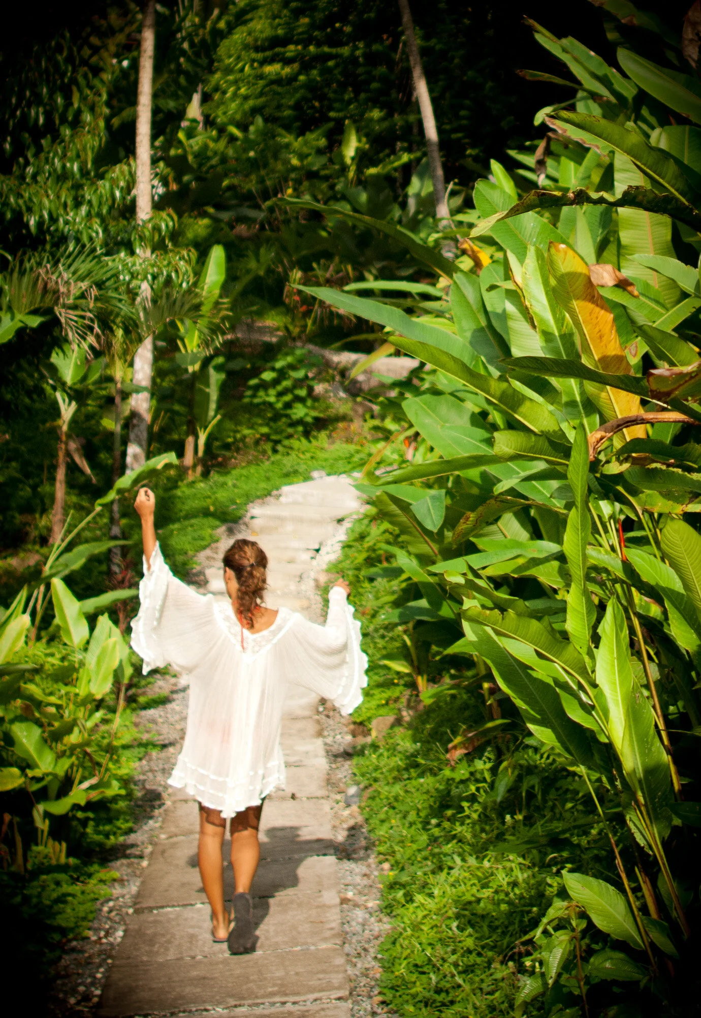 outdoor retreat vs jungle adventure on Pura Vida Ecolodge Is An Award Winning Retreat Pura Vida Ecolodge
