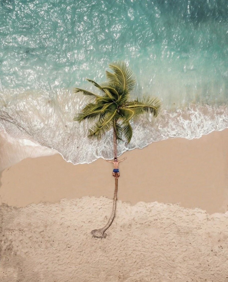 "...Yesterday is history and tomorrow is a mystery but today is a gift... that's why they call it the present"⁠
⁠
(Master Oogway, Kung Fu Panda)⁠
⁠
For those of you that missed this one,  Master Oogway was an elderly turtle in this Dreamwor