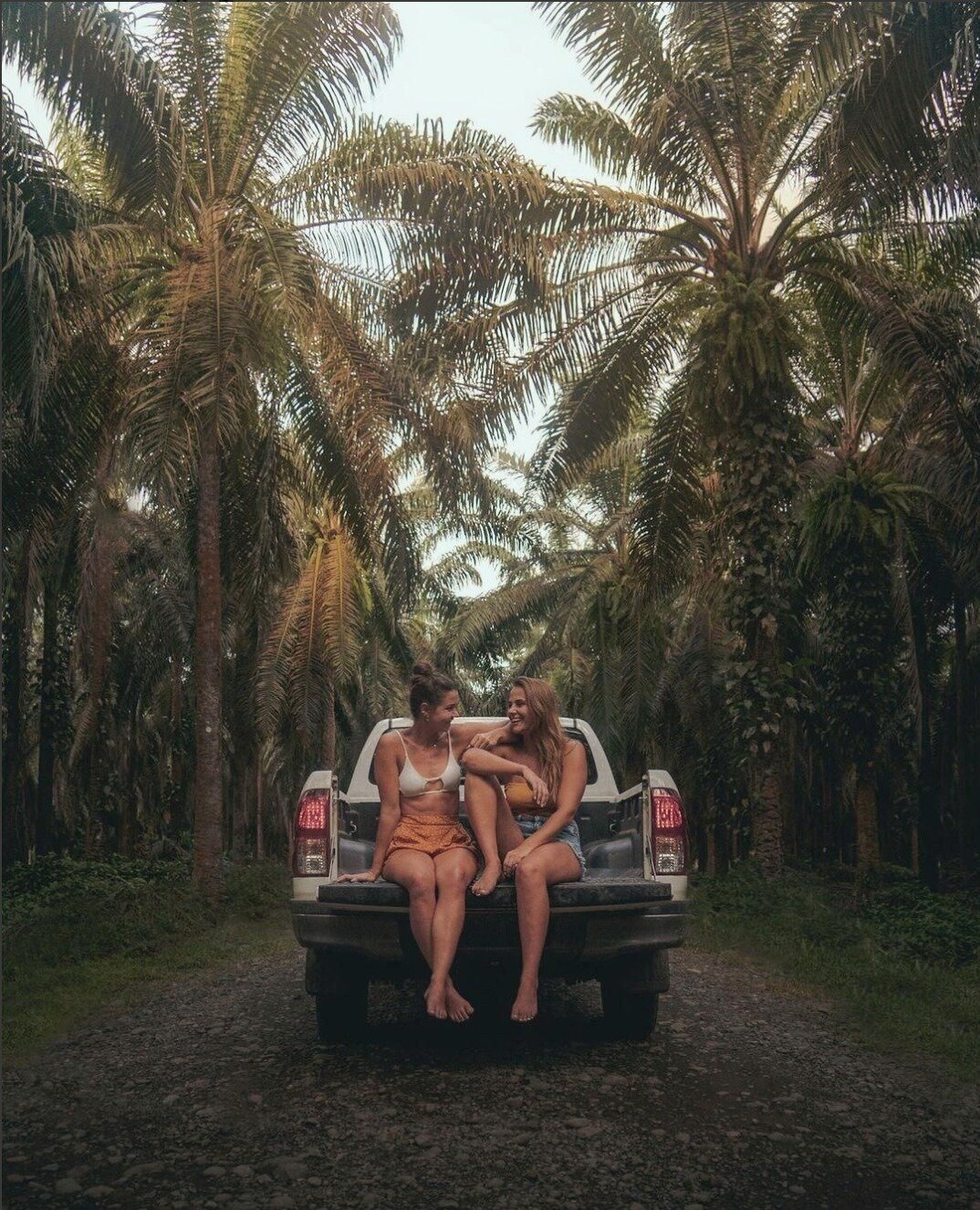 You&rsquo;ll find us in the rainforest, but please remember you'll need a four-wheel drive to get here and to discover so many of La Zona Sur's hidden gems... ⁣⁠
⁠
📸 All credit to : @larisalein @janinestrauss_⁣⁠
⁠
#costarica #travelcostarica #costar