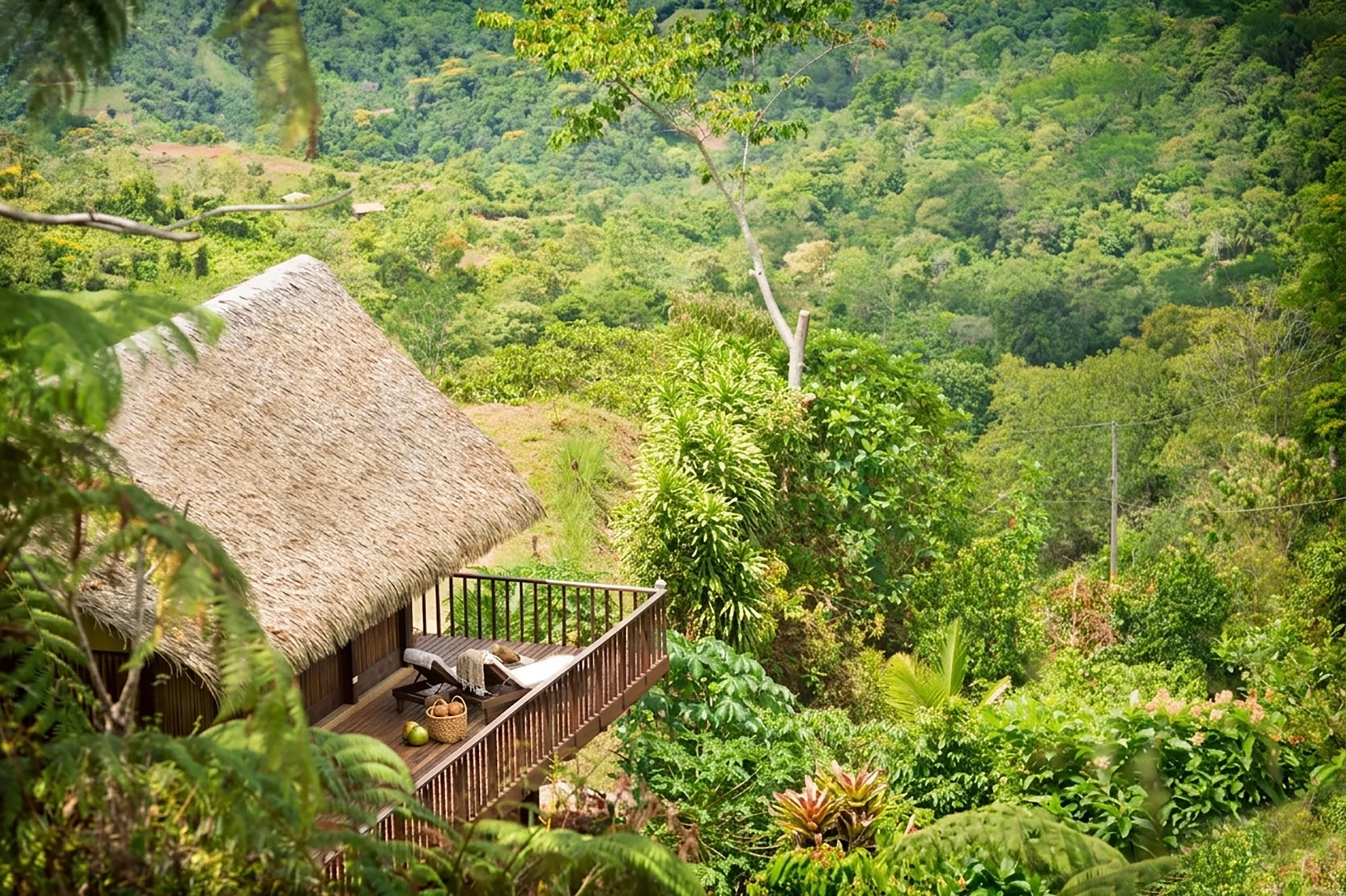Pura-Vida-Ecolodge-Jungle-Location-Exterior.jpg