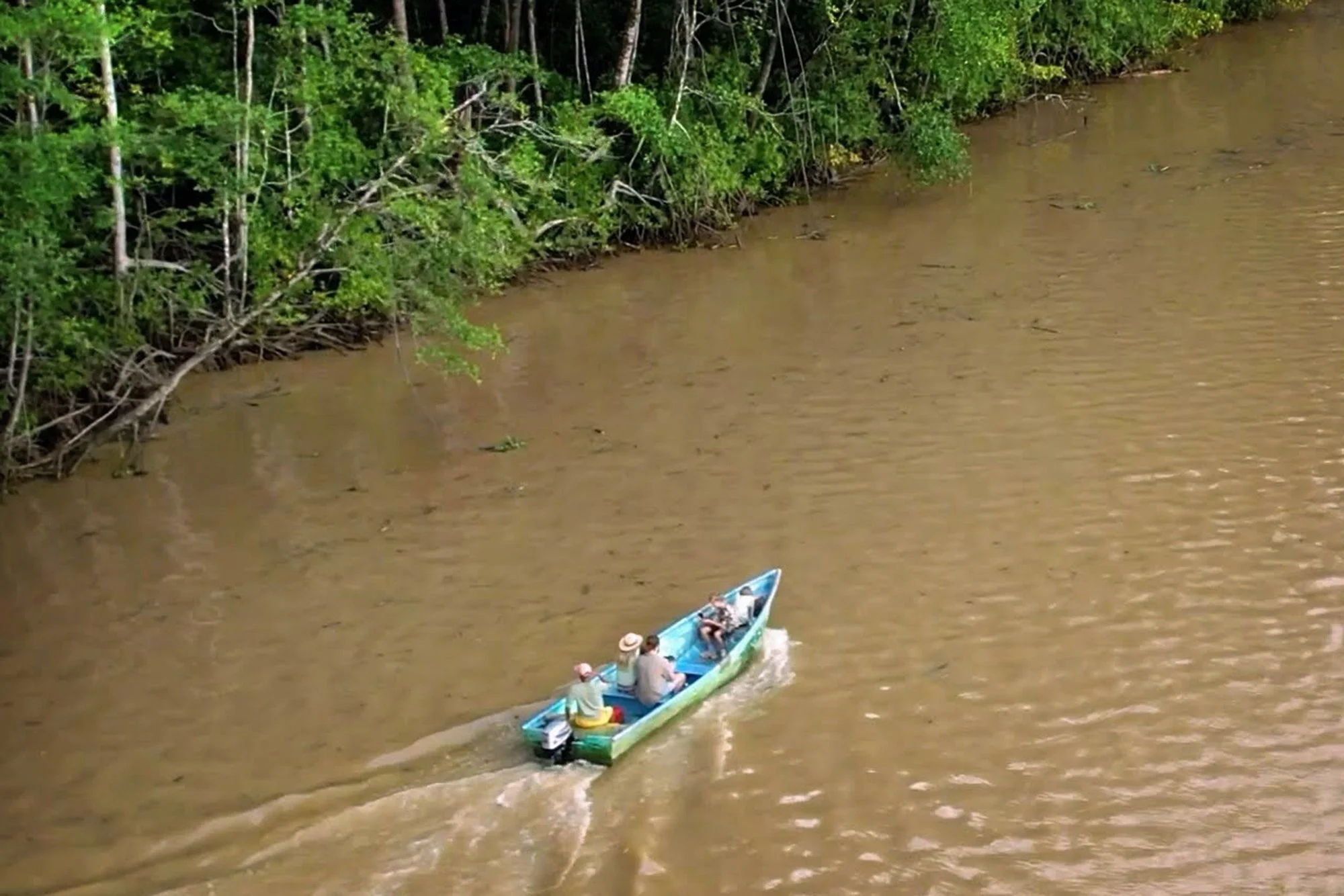 Pura Vida Ecolodge Rewilding Adventure to Playa Garza.jpg
