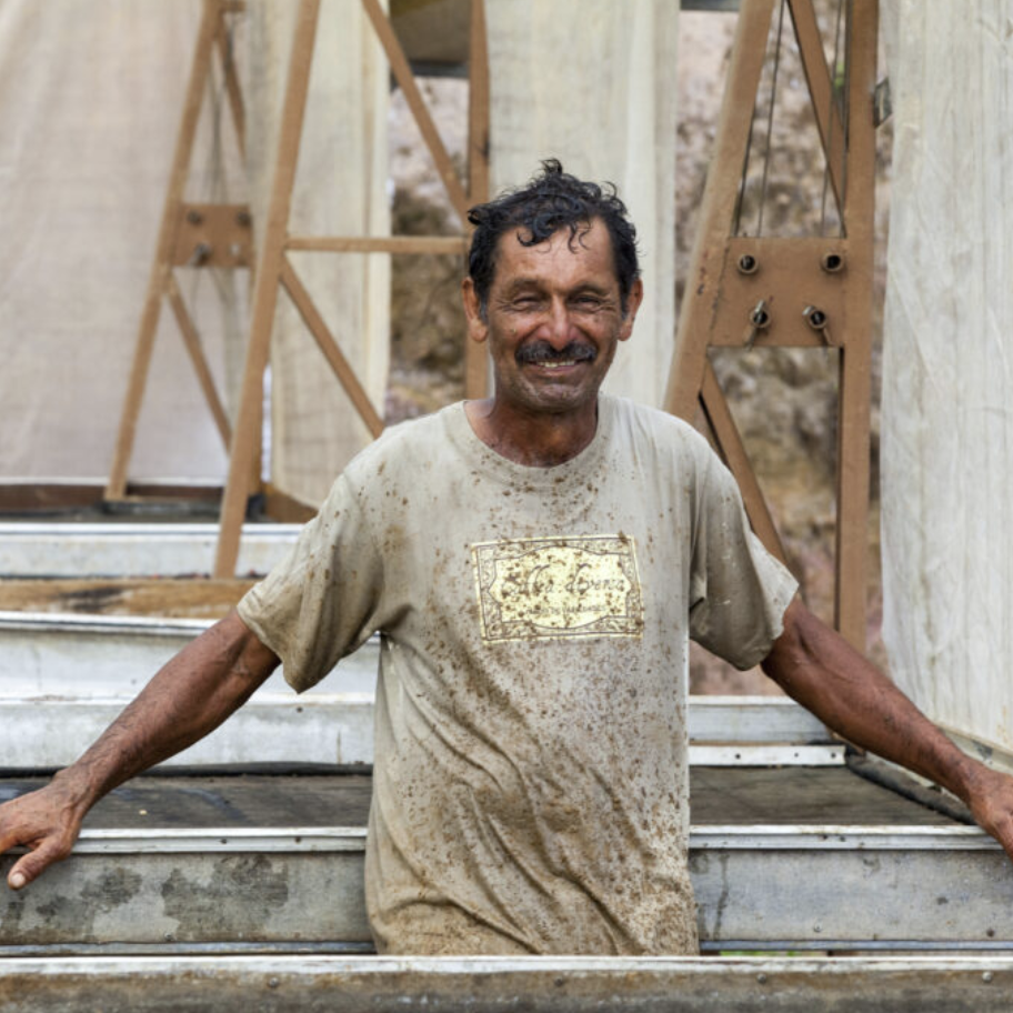 Coffea Diversa 1.png