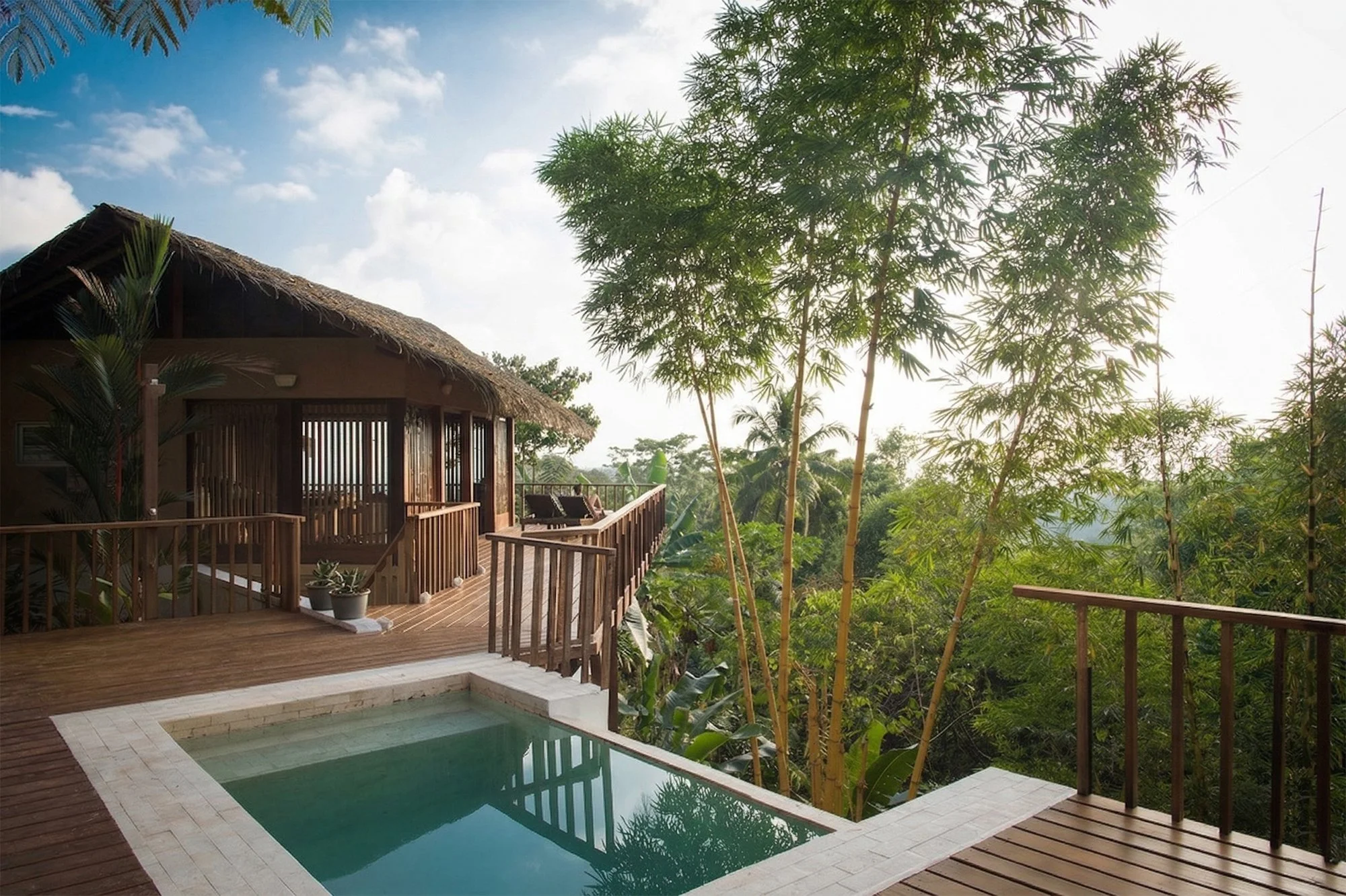 Pura-Vida-Eco-Lodge-jungle-canopy-view-with-Infinity-plunge-pool.jpg