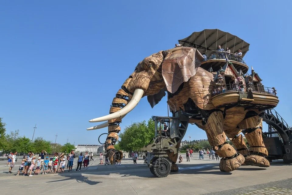 elephant-3482667_960_720.jpg