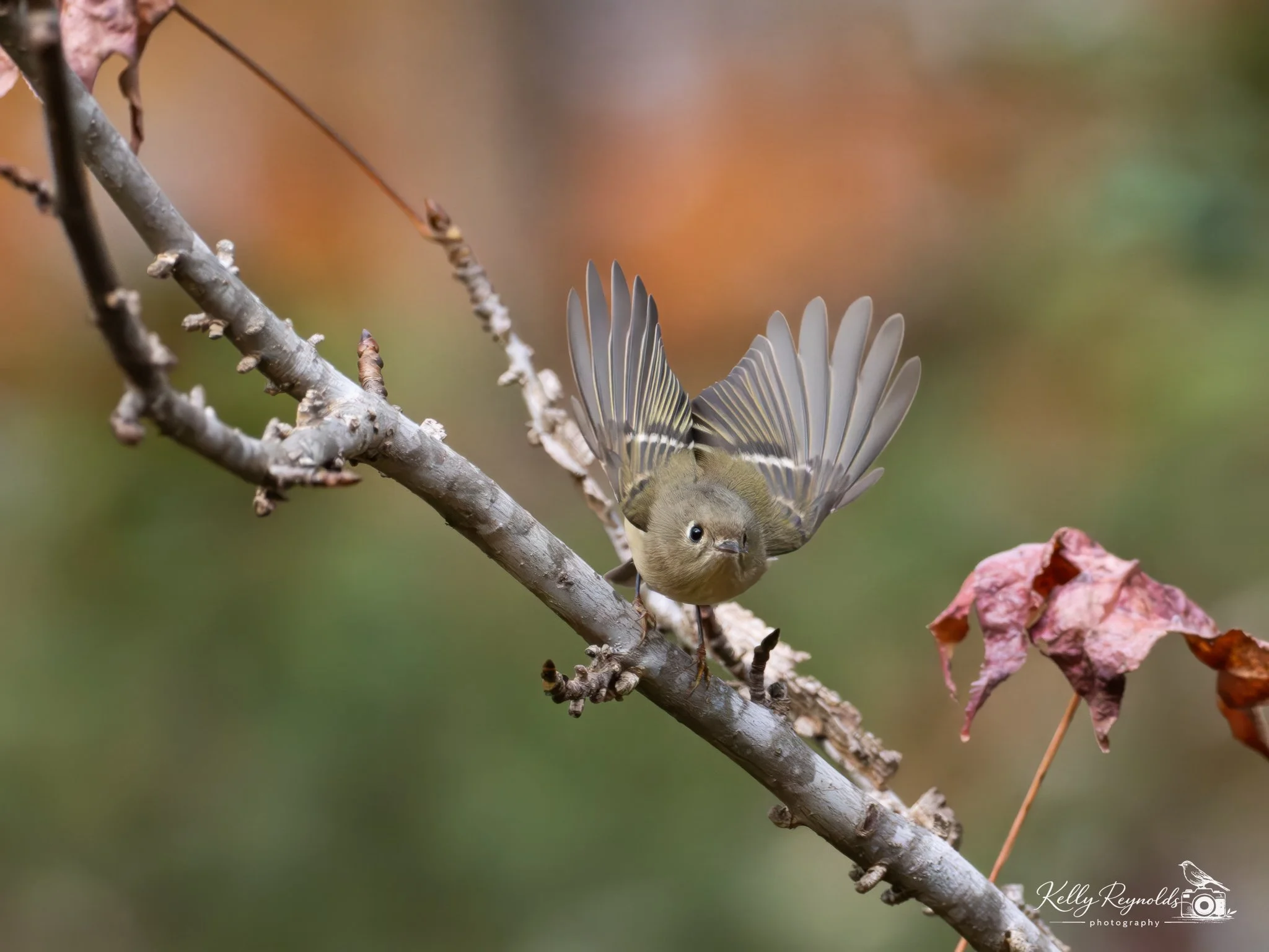 _B147887-Edit.jpg