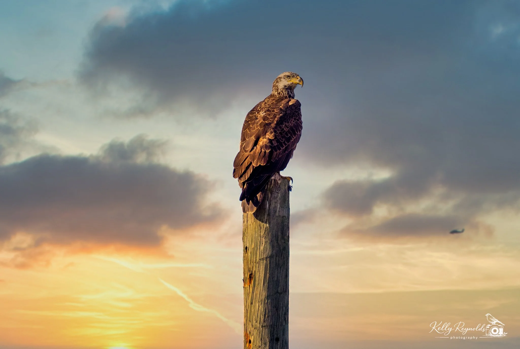 DutchGap2020--122.jpg