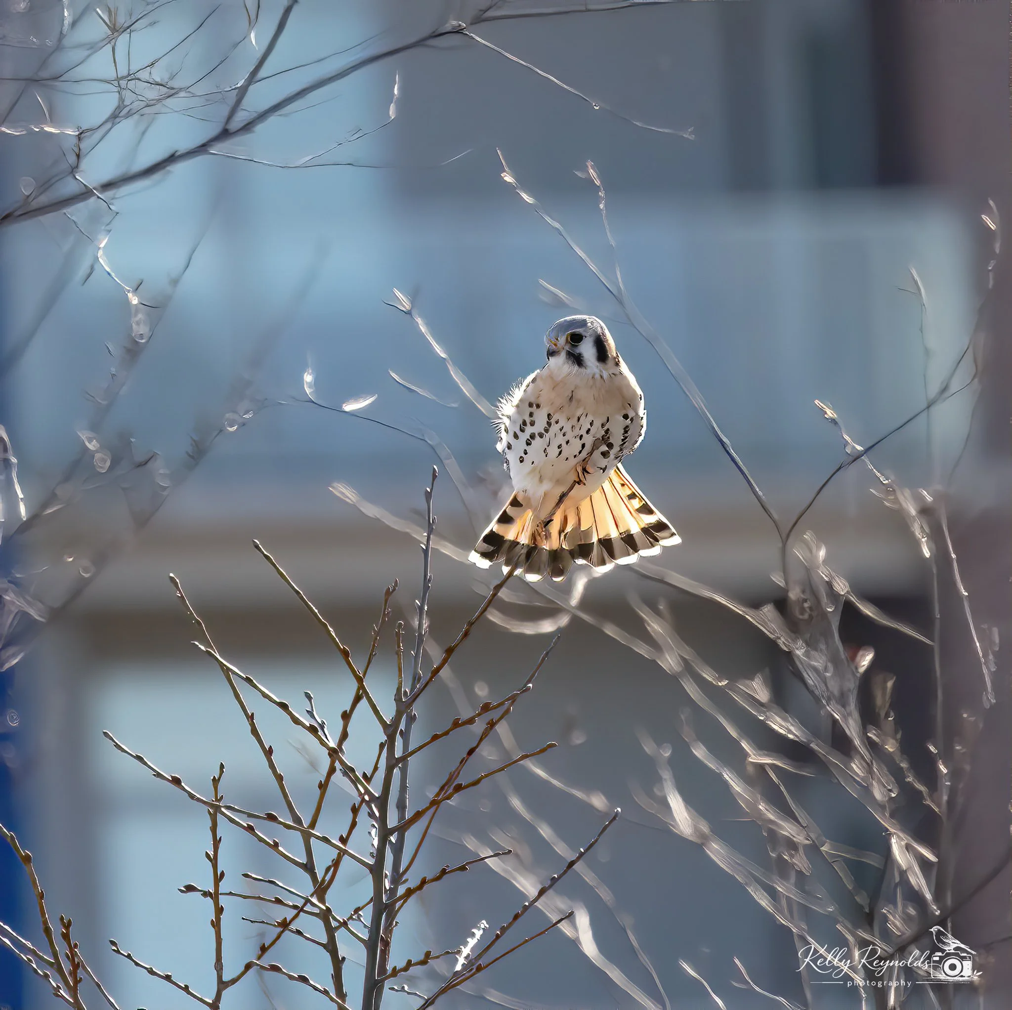 01.15.23 Birding_4364-Edit.jpg