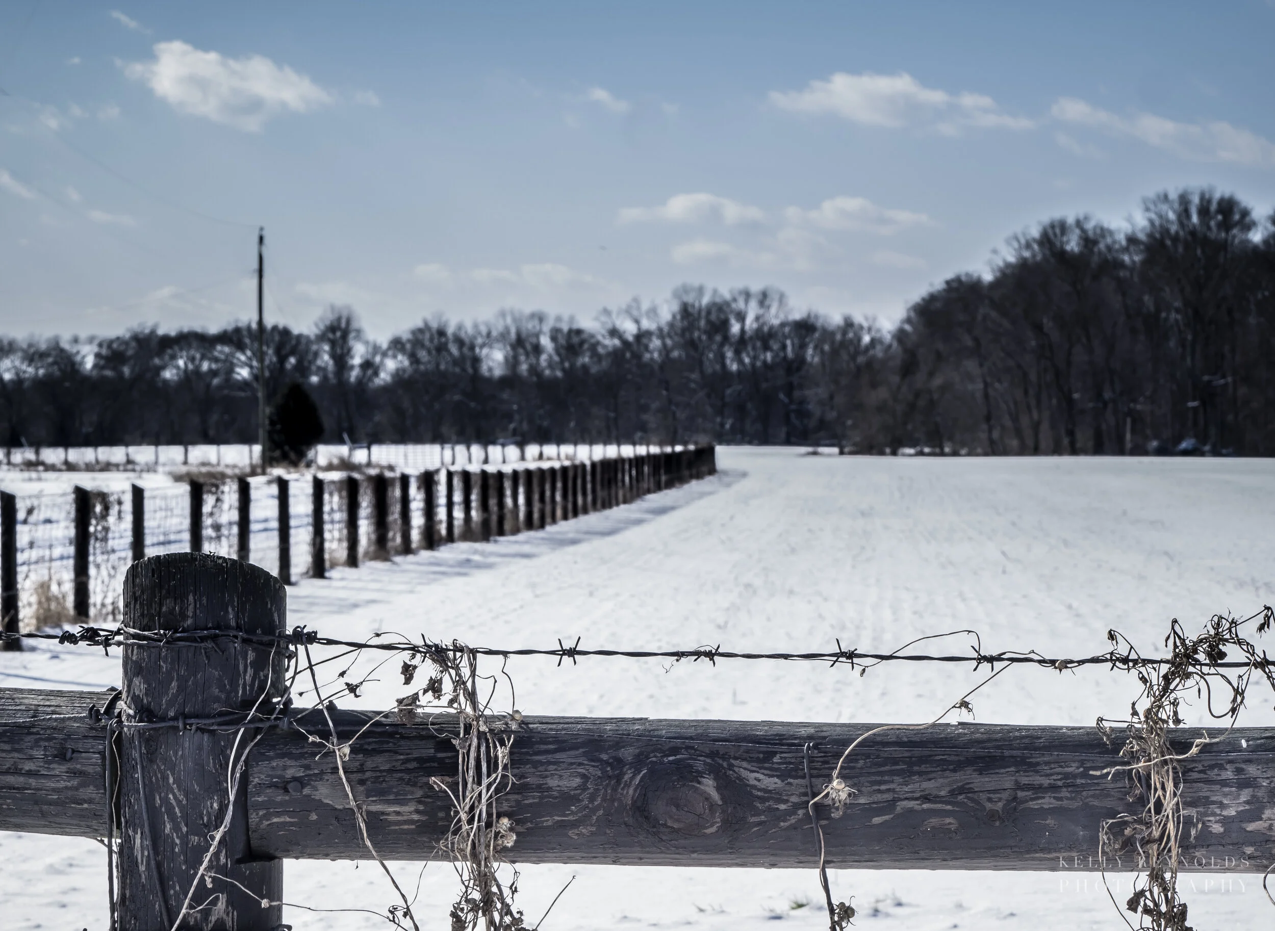 farm-fence-landscape_34133312486_o.jpg