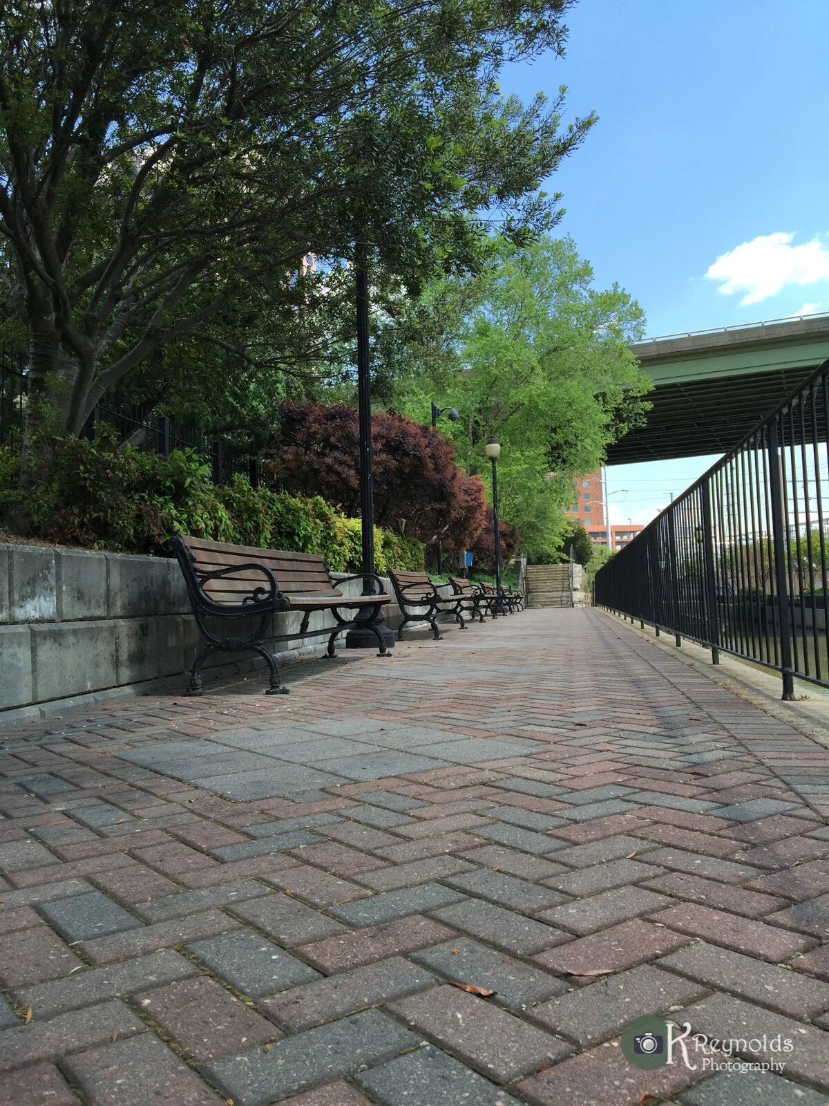 2015-05-04-14.09.55-1.jpg