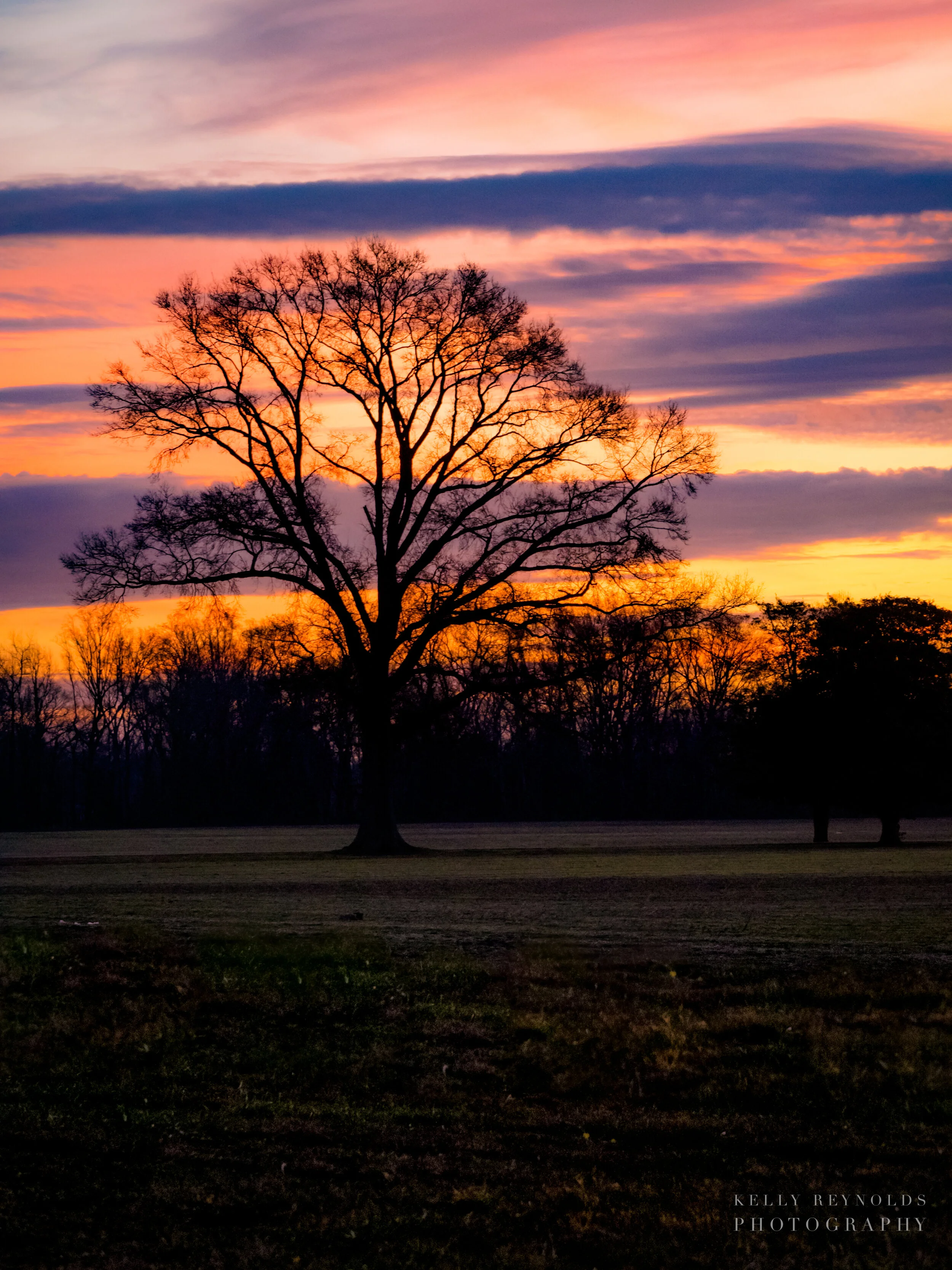 country-sunset_33331615734_o-1.jpg