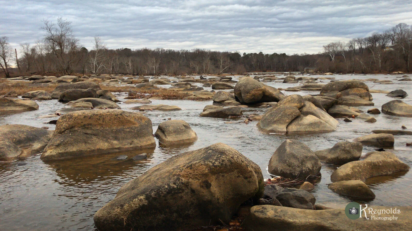Pony Pasture, RVA (Copy)