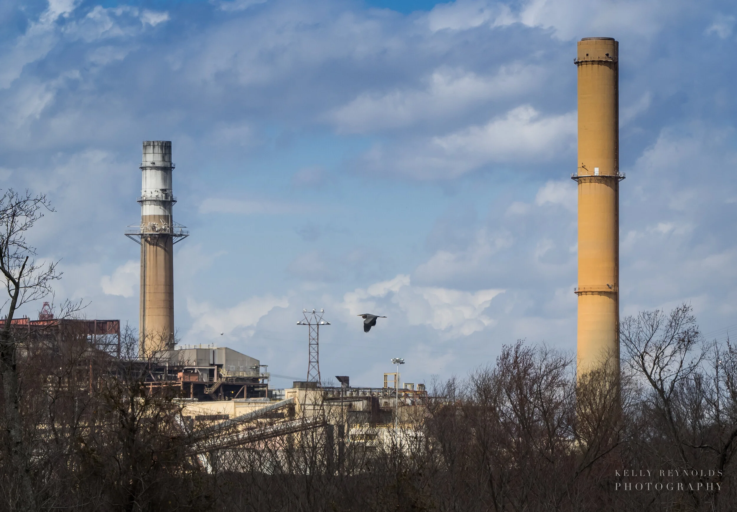 nature-and-industry_34016817742_o.jpg