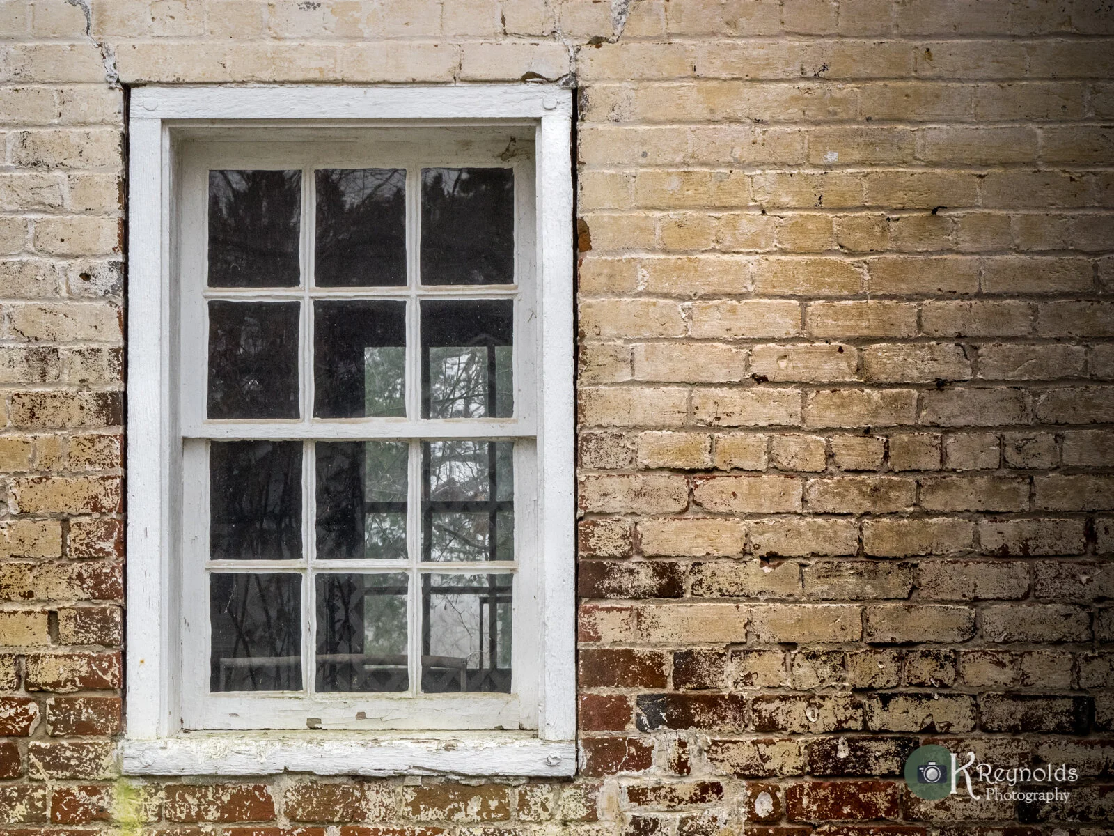 A white-framed window on a brick wall. The glass reflects trees and a cloudy sky.
