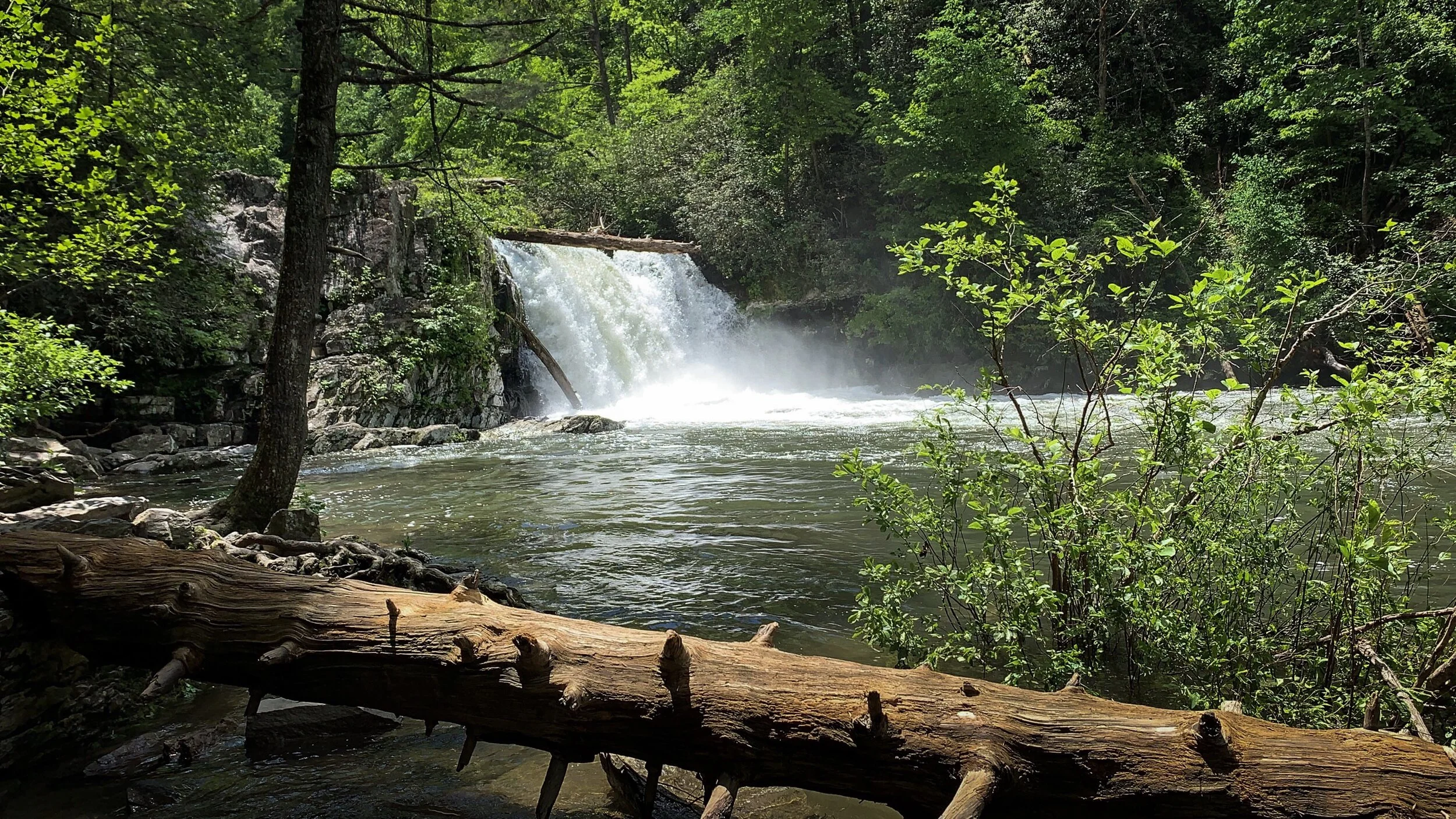 Abrams Falls, Great Smoky Mountains (Copy)