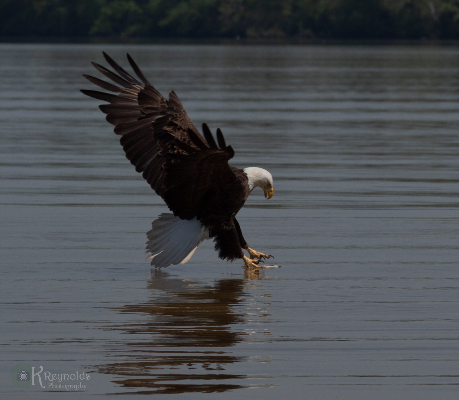 KReynoldsphotopgraphy_2019- (18 of 22).jpg
