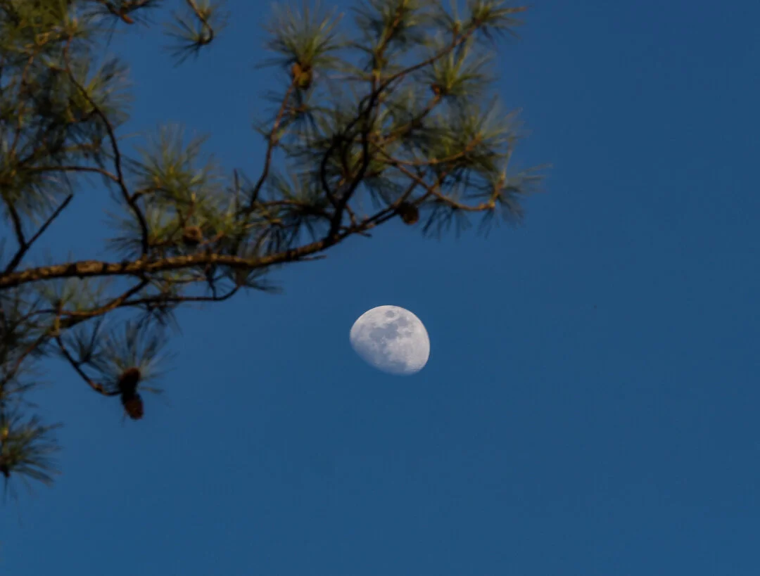 waxing-moon_25921890946_o.jpg
