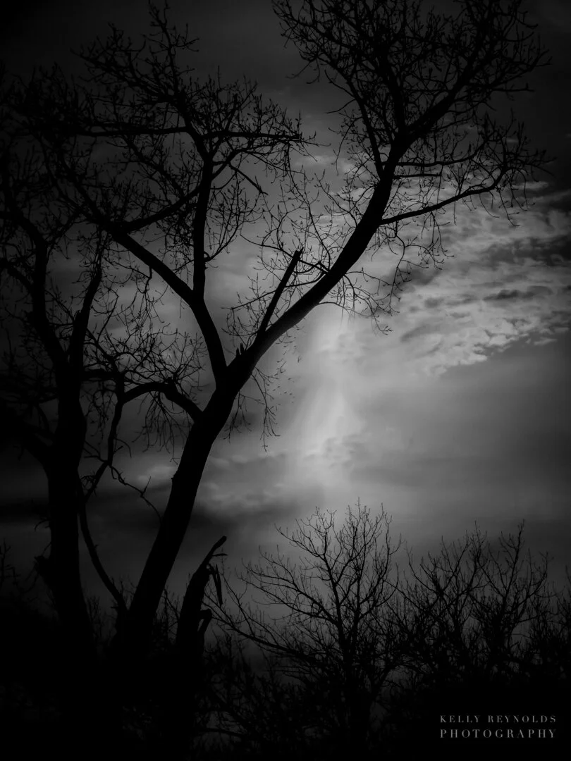 storms-abrewing_25095646144_o-1.jpg