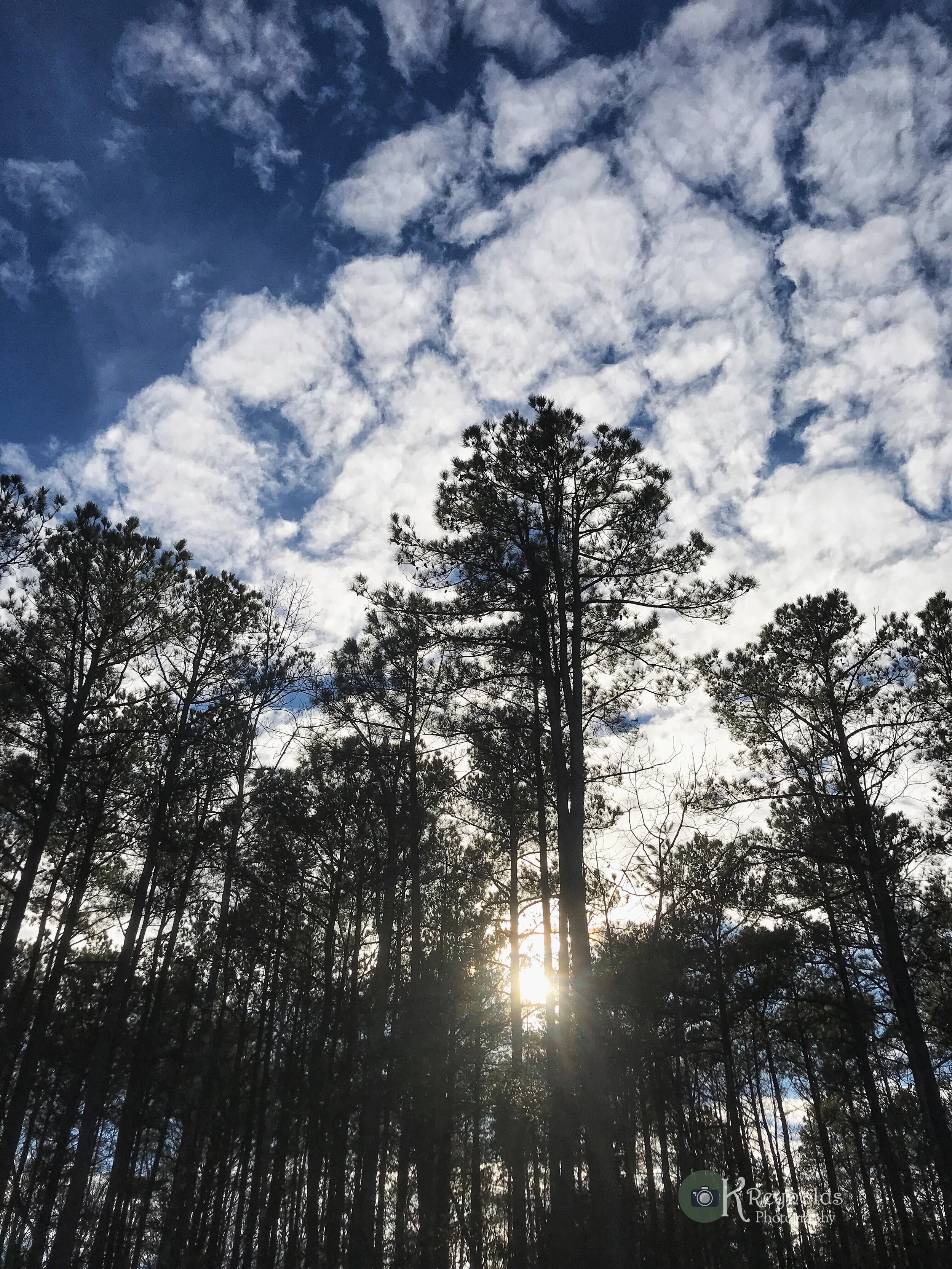 winter-sky_25983373948_o-1.jpg