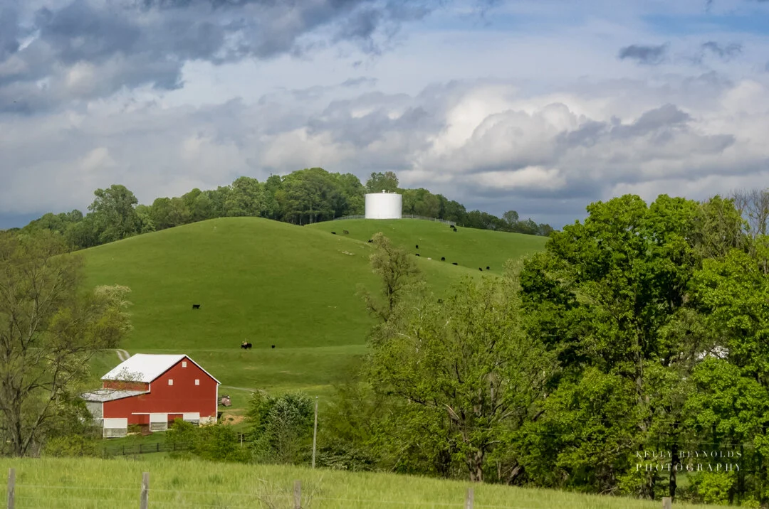 virginia-countryside_36184135036_o-1.jpg
