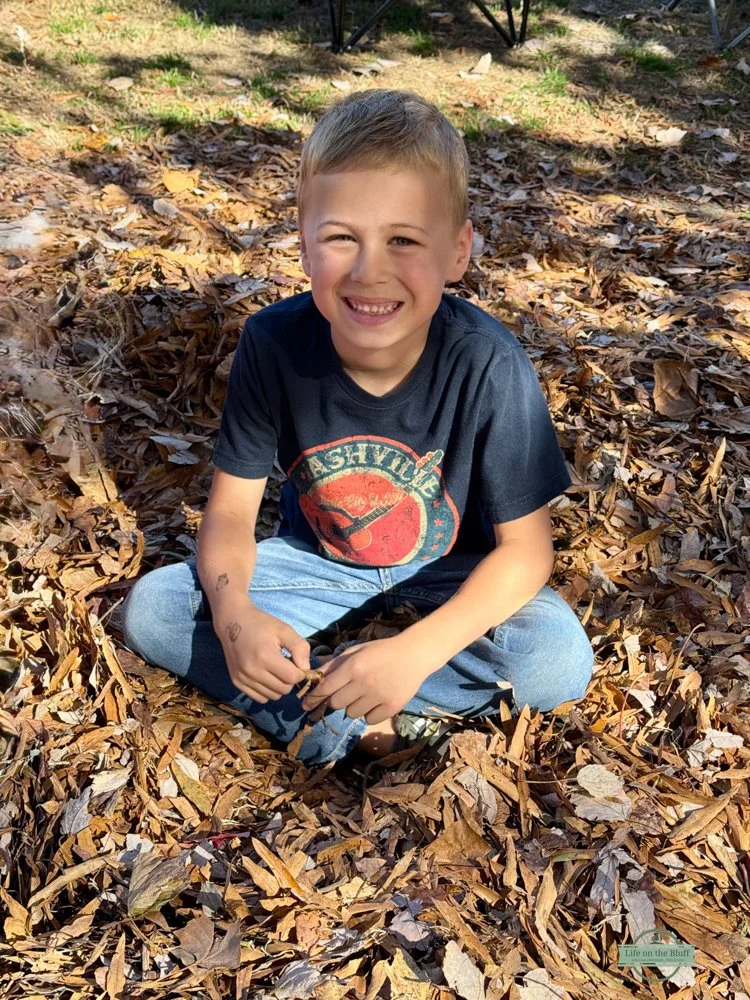 Fun in the Leaves