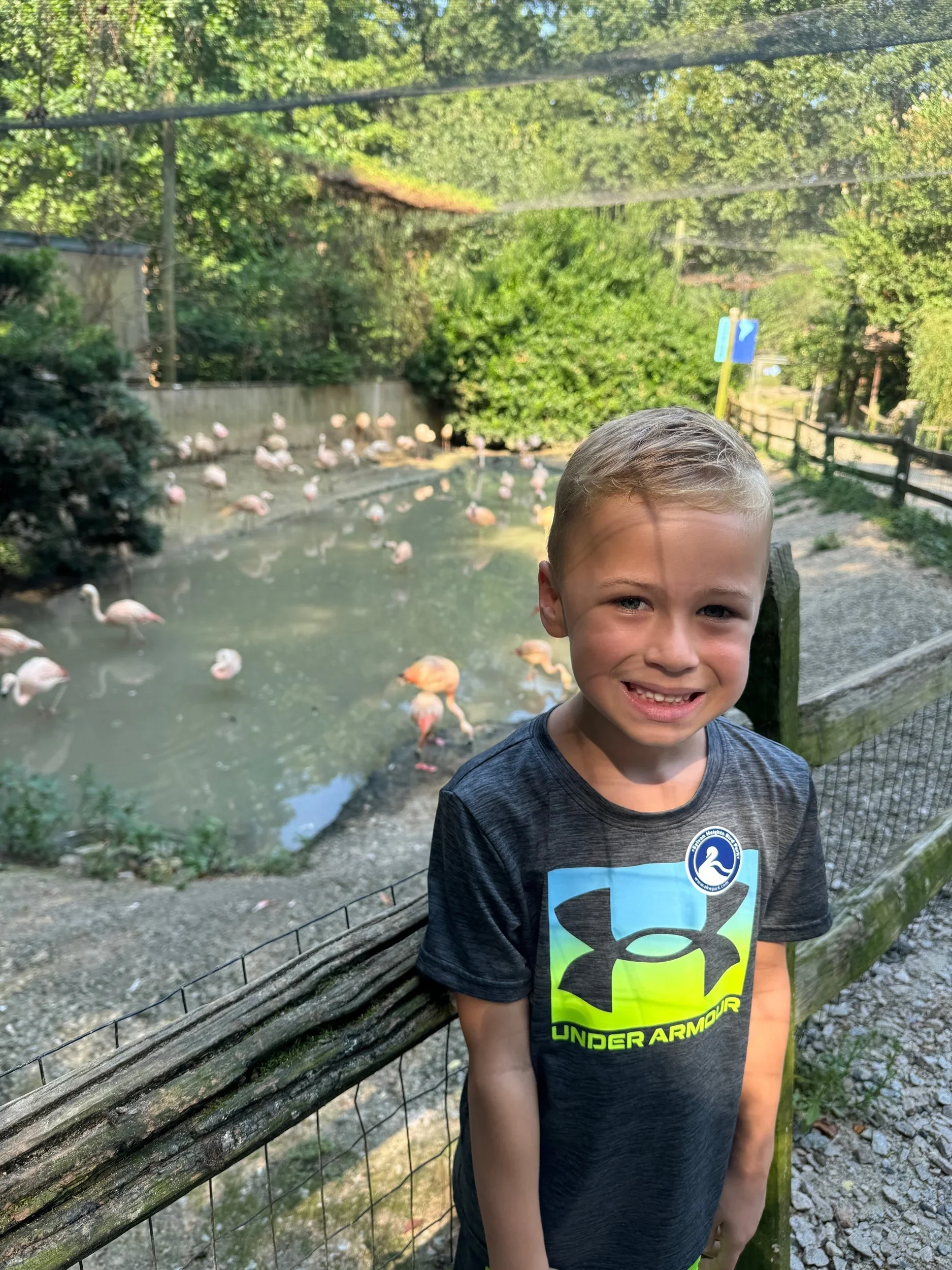 Ben's Birthday Adventure